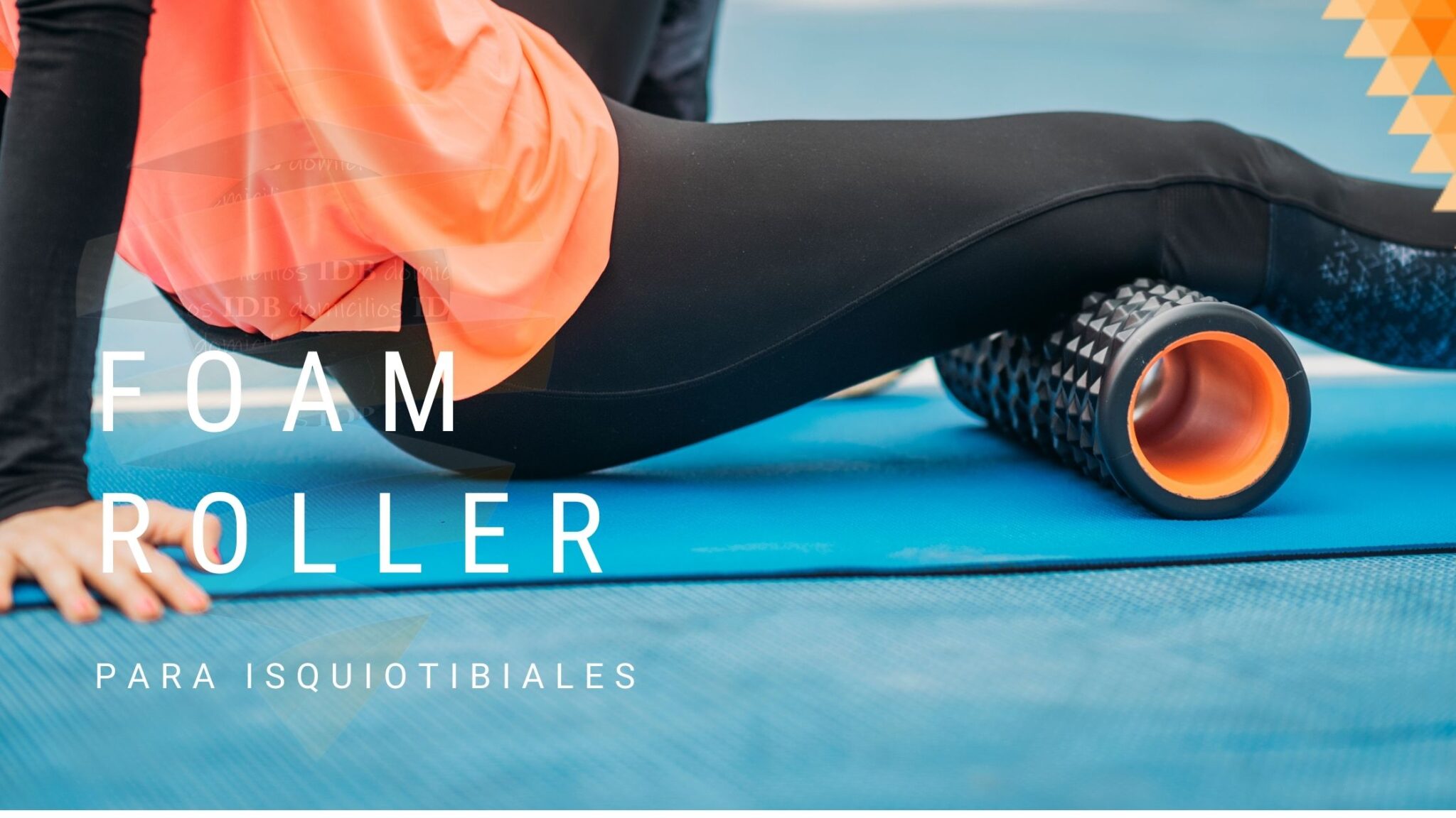 Foam Roller Beneficios Y Ejercicios Fisioterapia A Domicilio