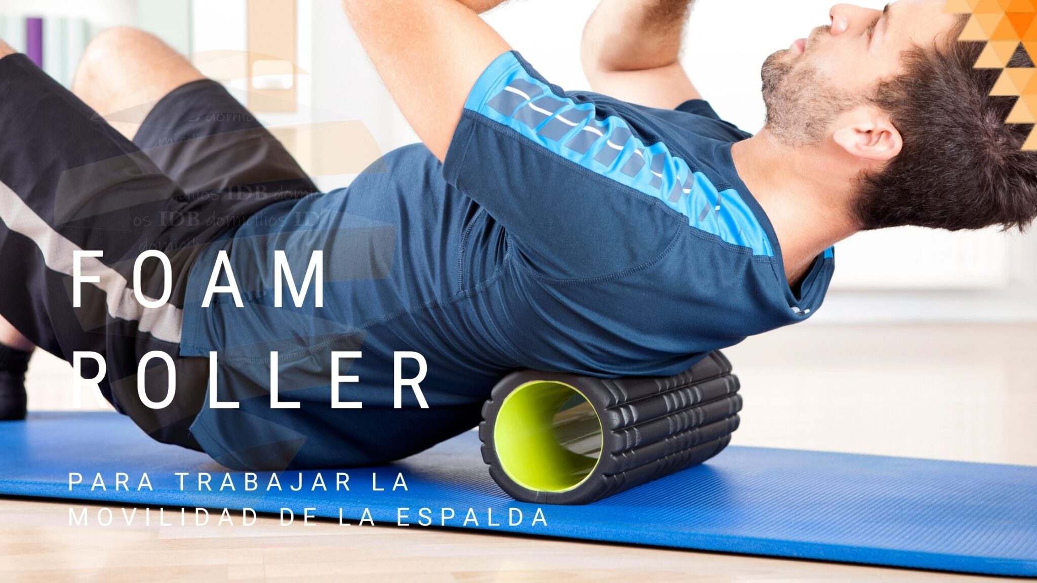 Foam Roller Beneficios Y 6 Ejercicios Fisioterapia A Domicilio